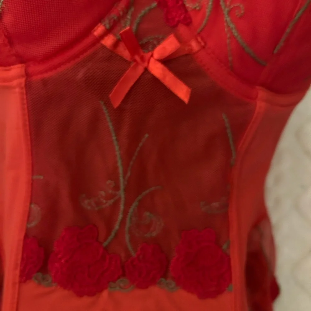 Donna L’oren Matching Corset with Garter and panties set.